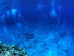 Relaxing diving at the sea of ​​Tokashiki Island