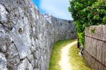 Coral Stonewalls in Geruma island