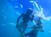 Snorkeling Tokashiki Island