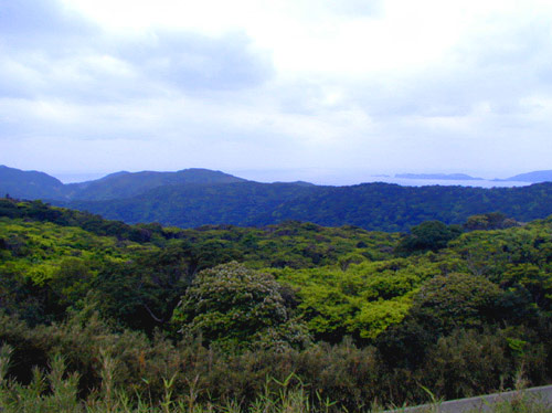Tokashiki wetland
